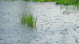 Récupération eau de pluie toilettes, ce qu'autorise la loi